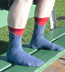 Men's Shark Socks Socks