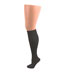 Celeste Stein Charcoal Knee High Stockings / Trouser Socks