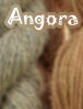 Angora Socks