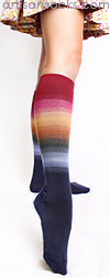 Gradient Striped Knee High Socks - Neutral Rainbow Socks by K. Bell
