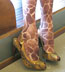 Celeste Stein Brown Giraffe Animal Print Tights