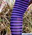 Scolar Japanese Stockings - Purple & Black Striped Tights